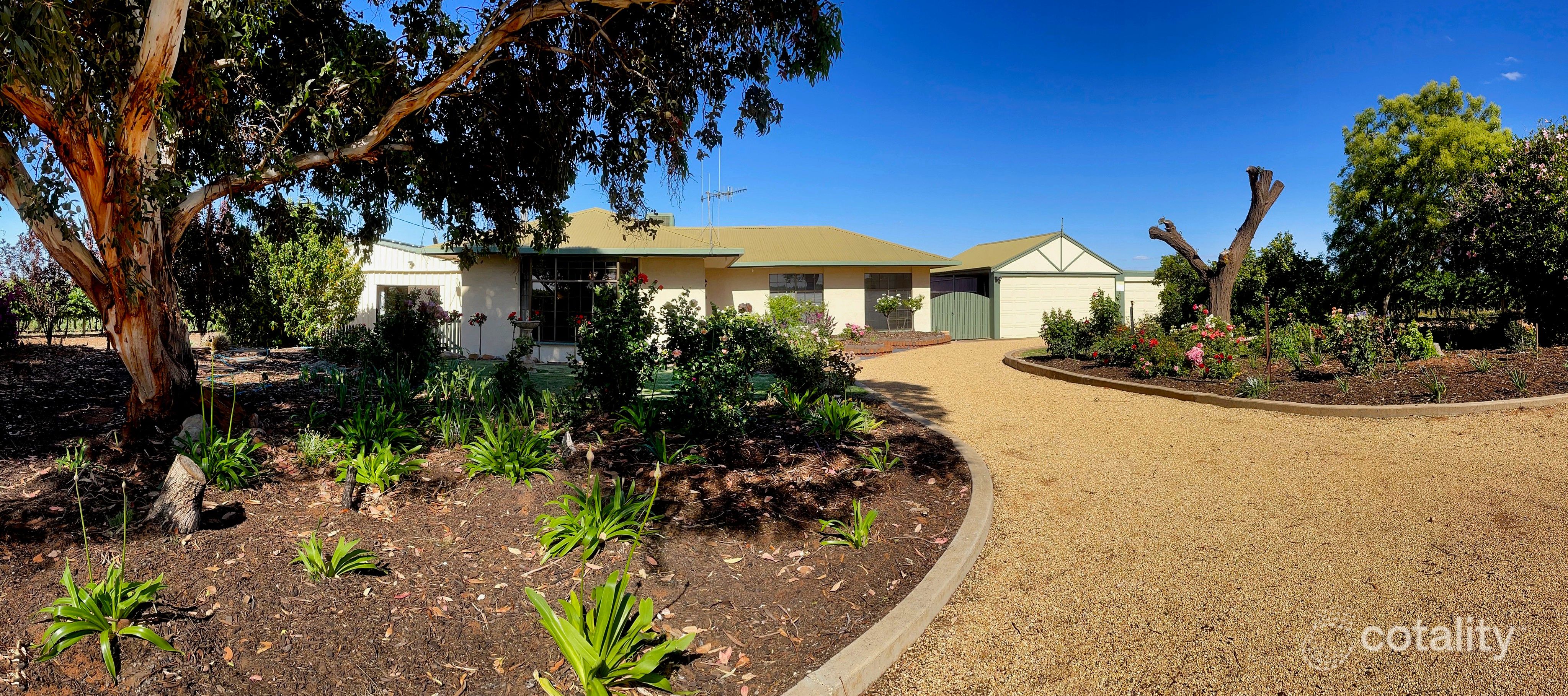 262 Balfour Ogilvy Ave, Loxton North, SA 5333