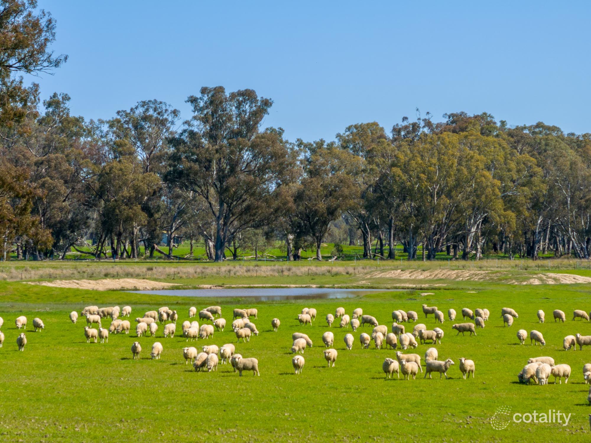 1213 Geodetic Rd, Molka, VIC 3666