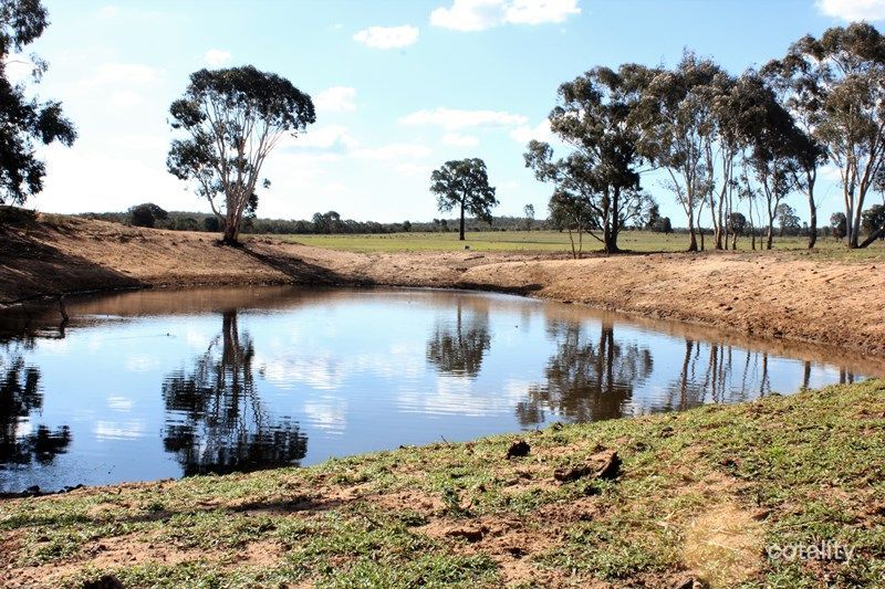 188 Bullarook Rd, Coolah, NSW 2843