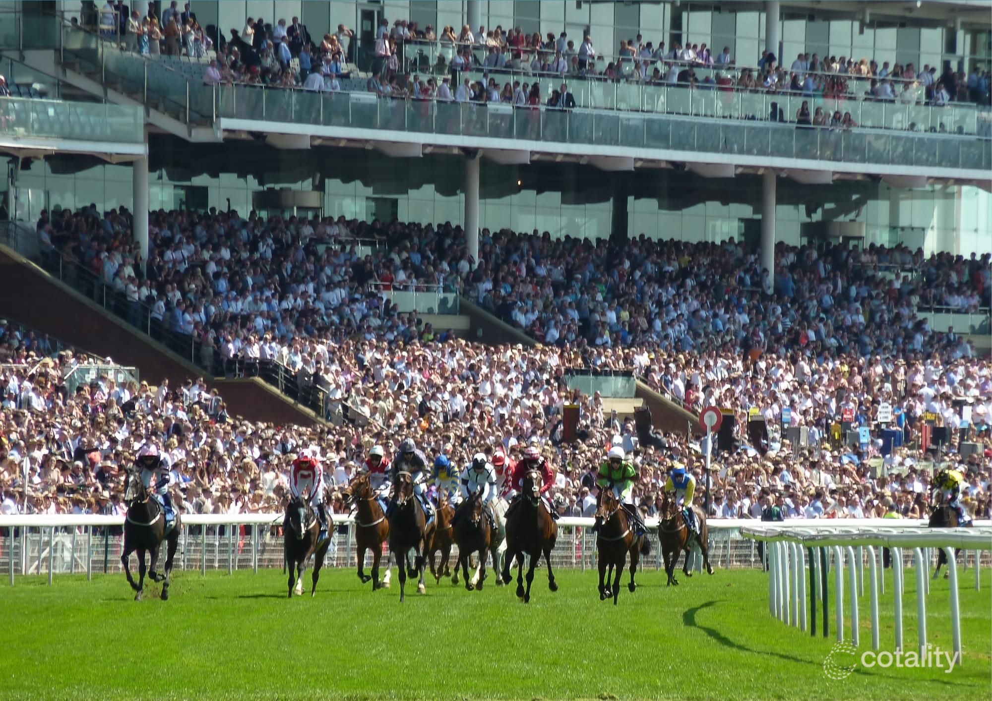 314 Racecourse Rd, Flemington, VIC 3031