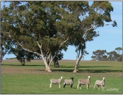 58 Curnow Rd, Senior, SA 5268