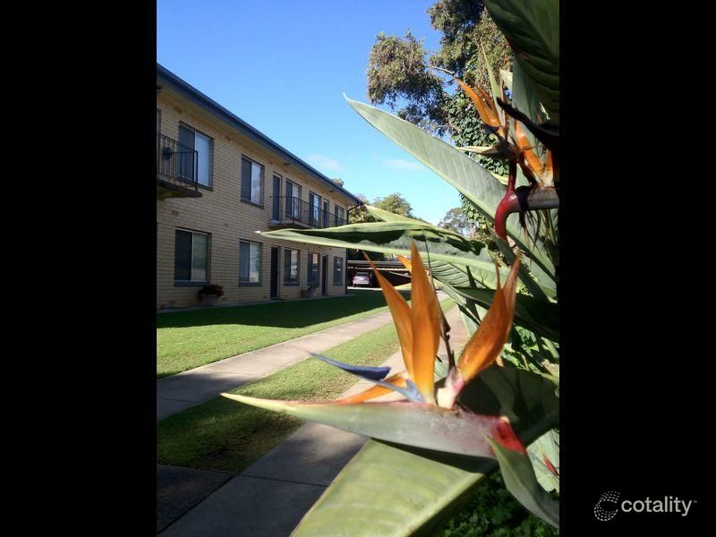 8/3 Church St, Highgate, SA 5063