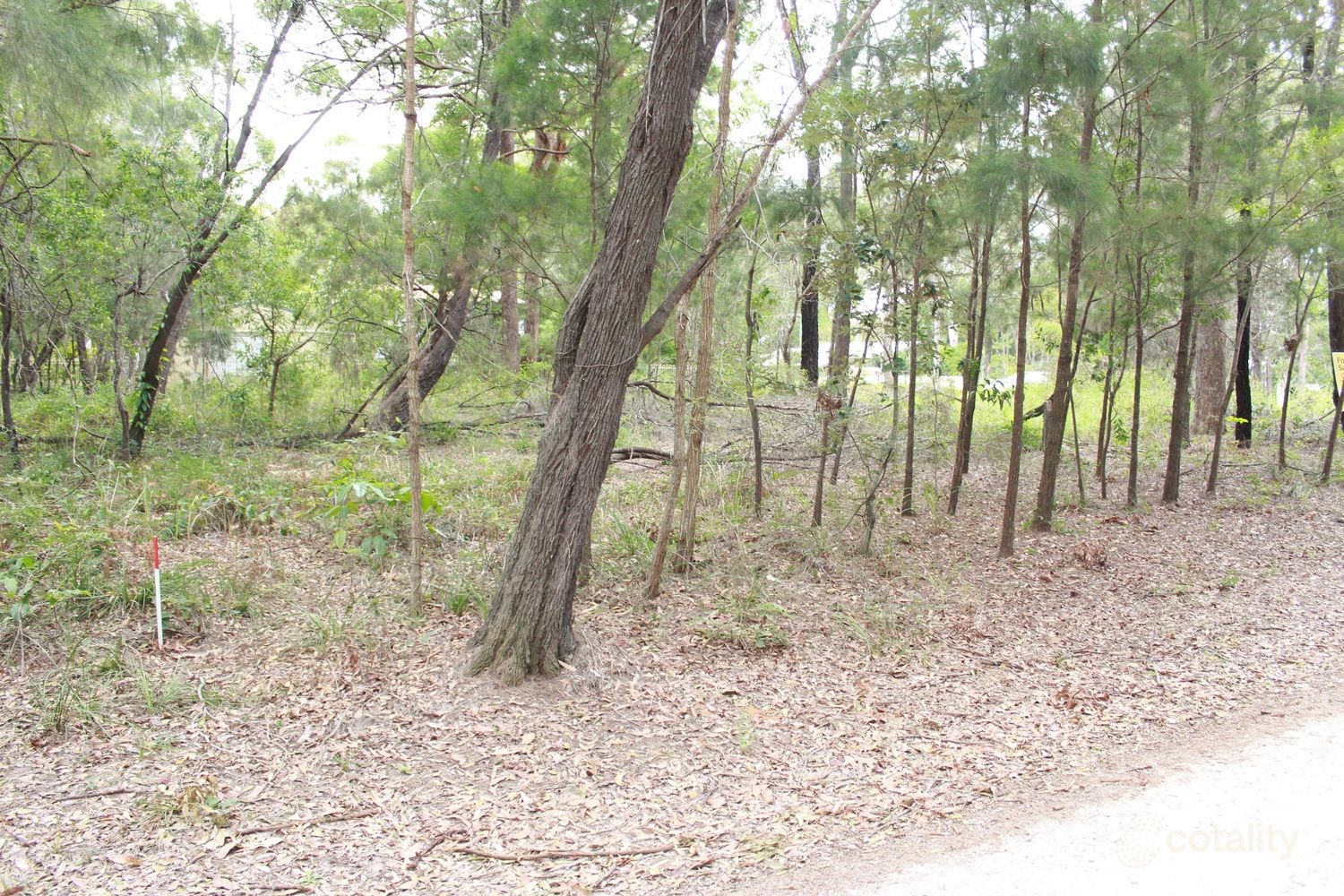 1 Acacia Ct, Macleay Island, QLD 4184