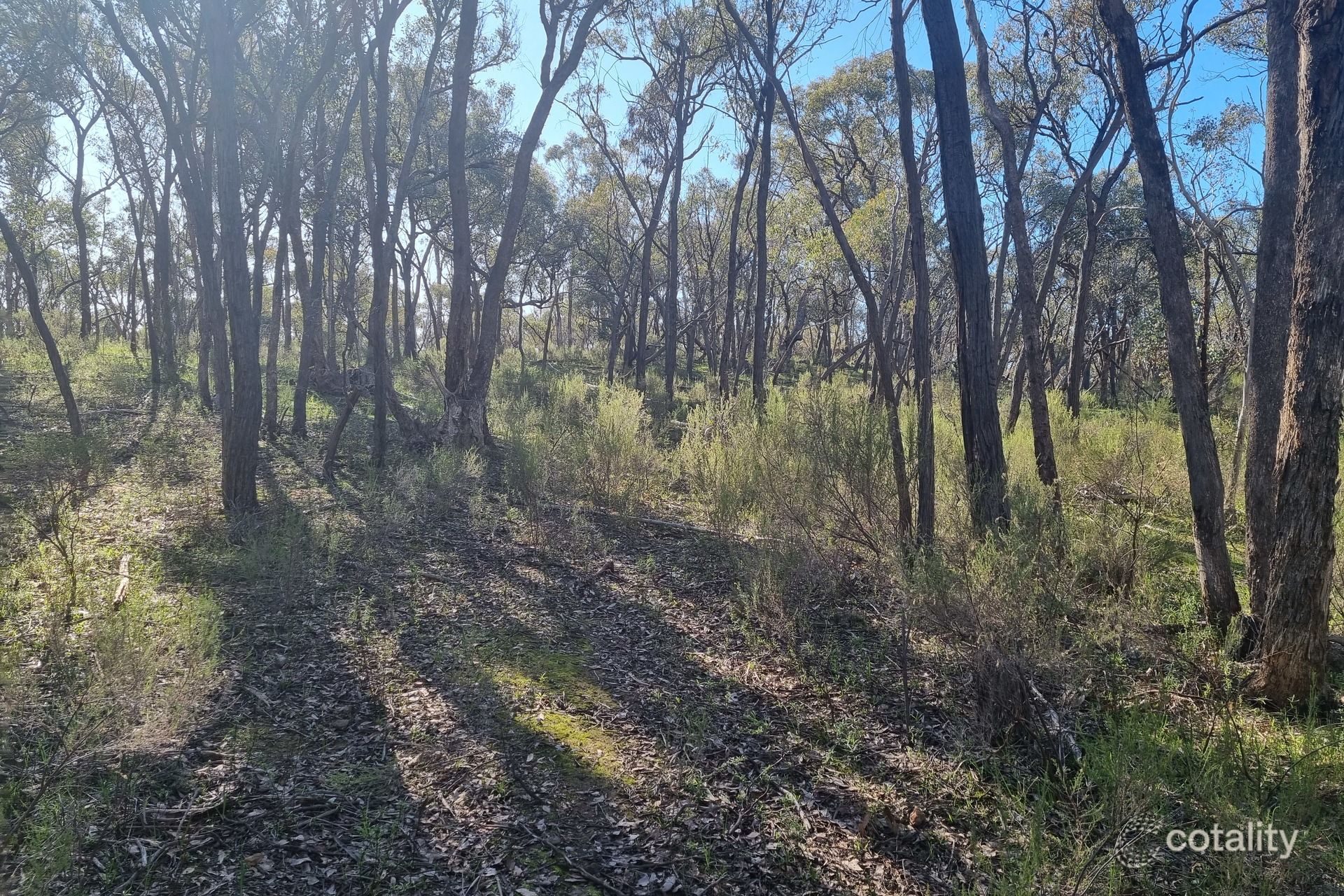 199 Native Gully Cres, Eppalock, VIC 3551