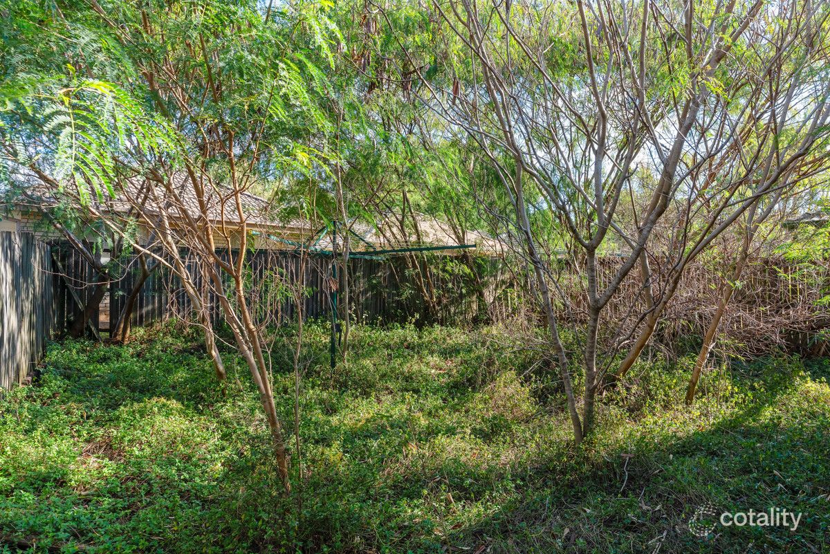 17 Chevrotain Pl, Chermside West, QLD 4032