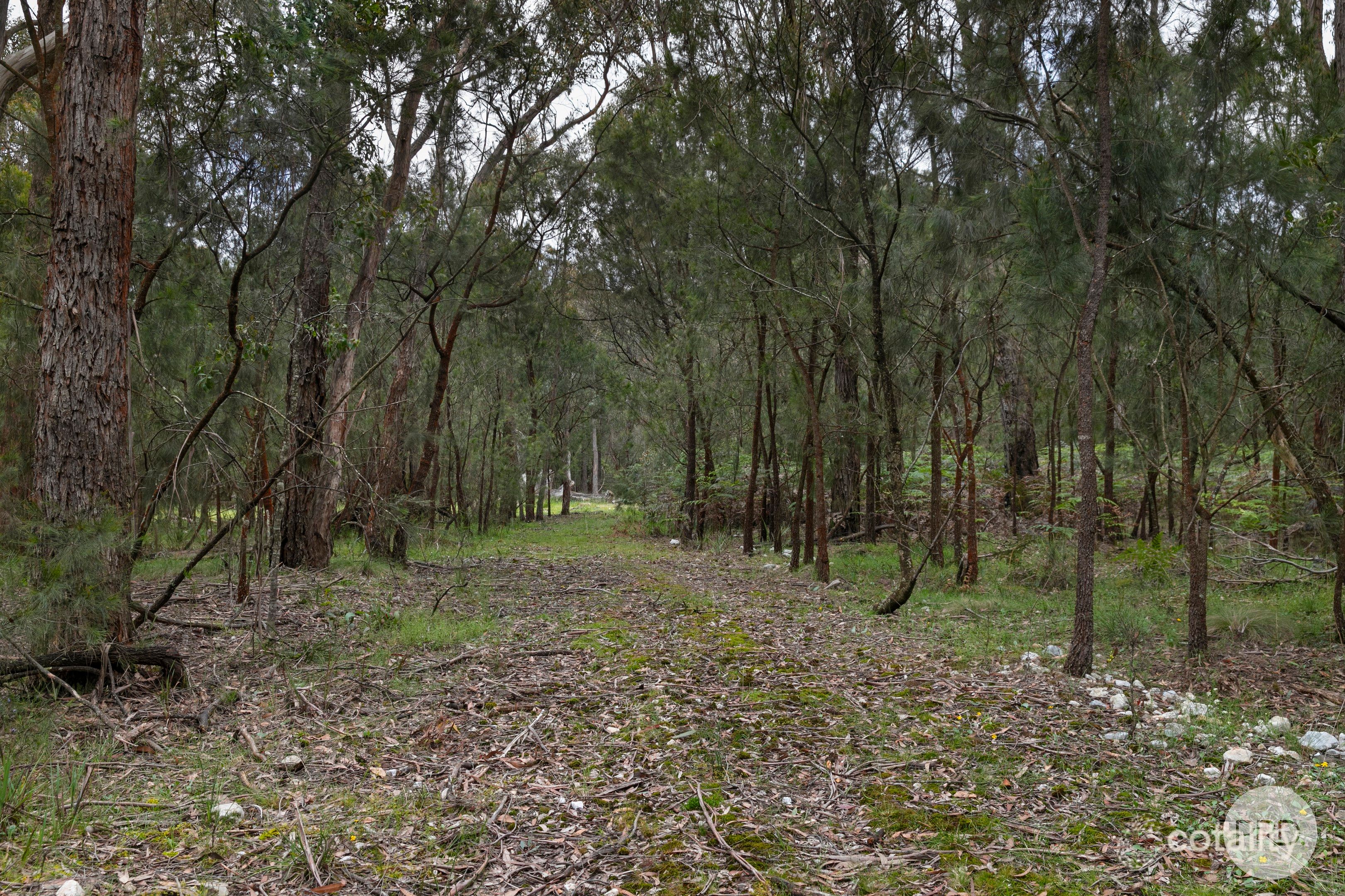 71 Blackfellows Lane, Hillcrest, VIC 3351