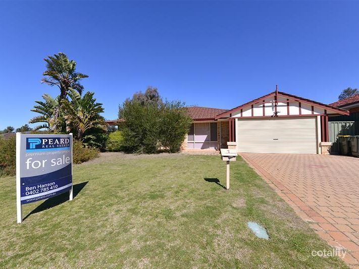 7 Celadon Loop, Banksia Grove, WA 6031