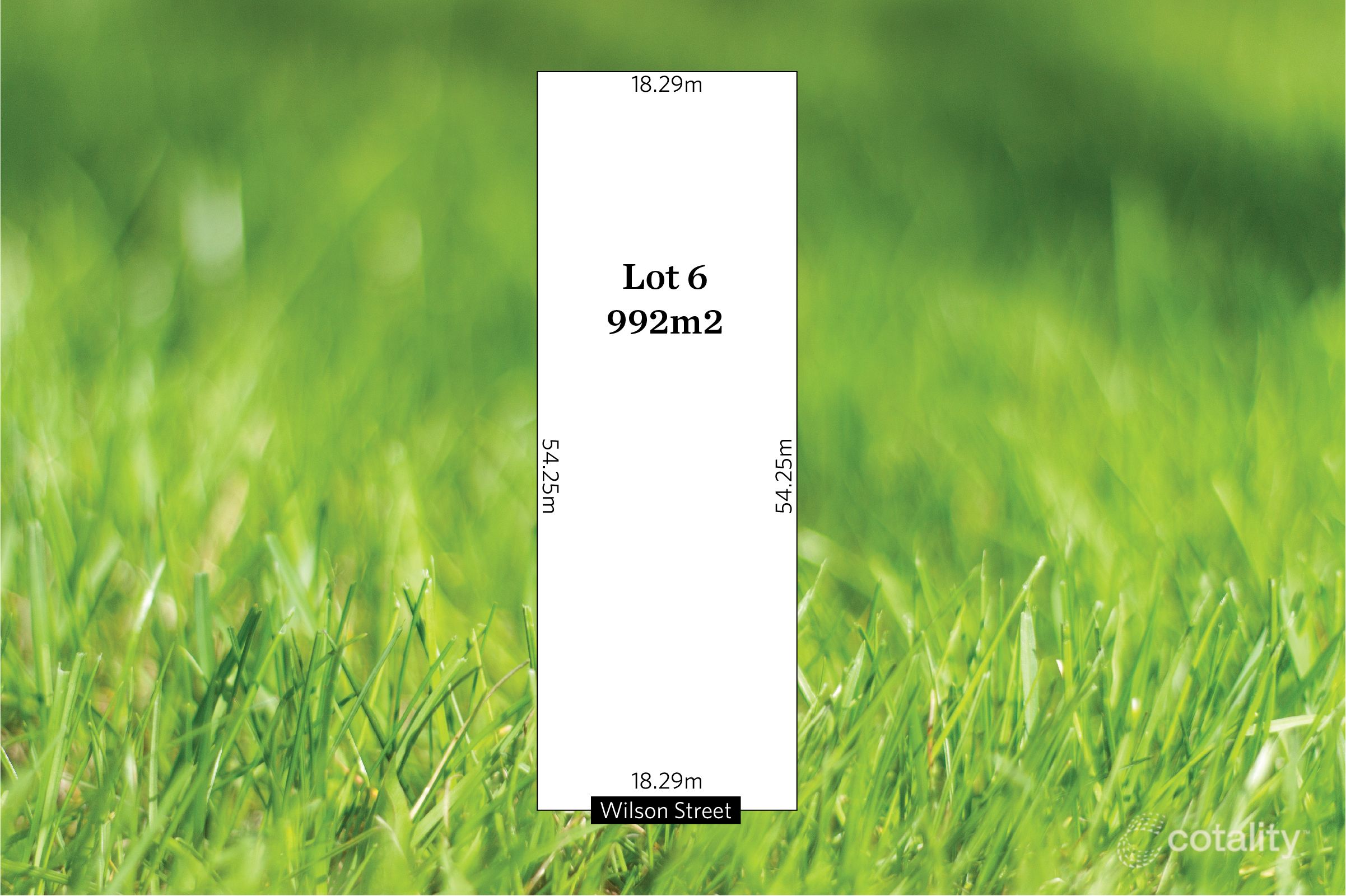 43 Wilson St, Cowandilla, SA 5033