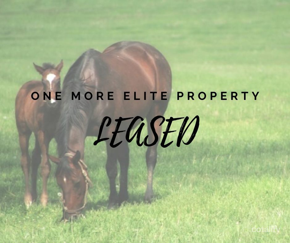 144 Cleveland Rd, Cleveland, NSW 2530