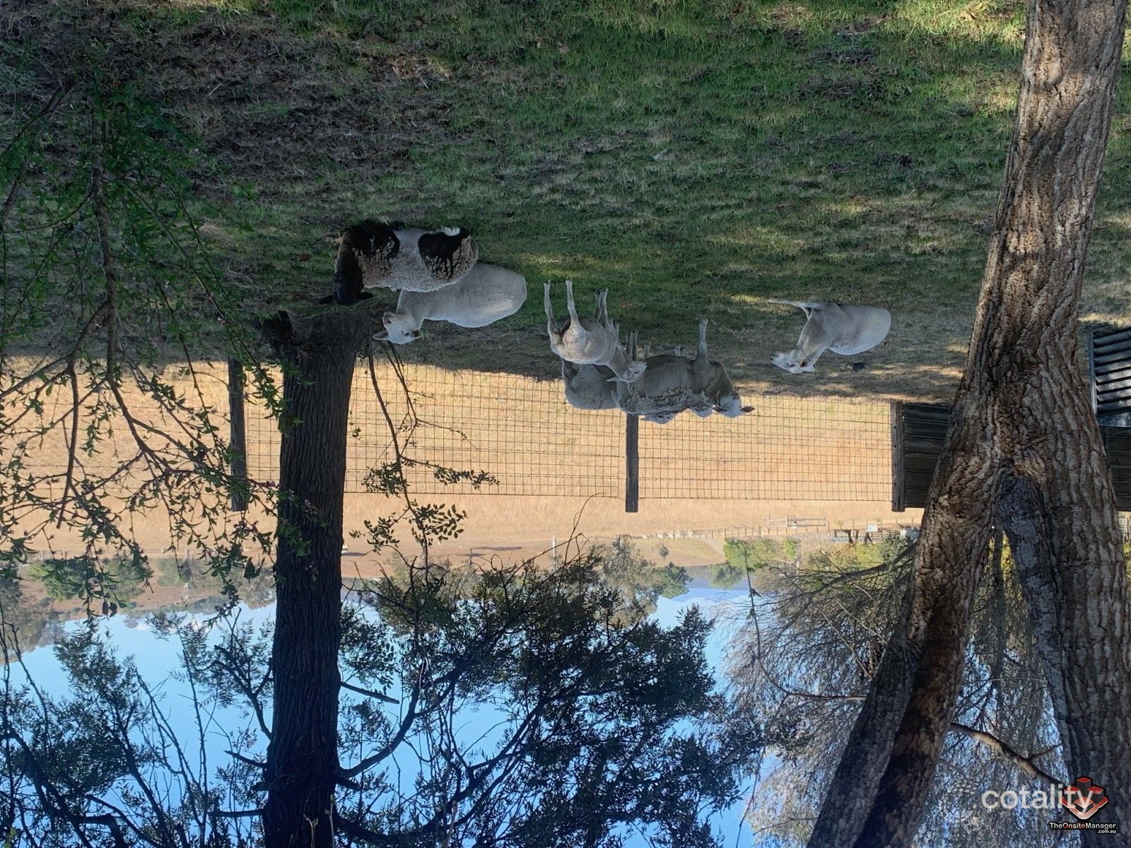 650 Knapp Creek Rd, Knapp Creek, QLD 4285