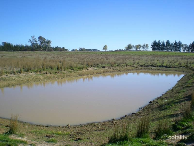 365 Bentleys Lane, Millthorpe, NSW 2798