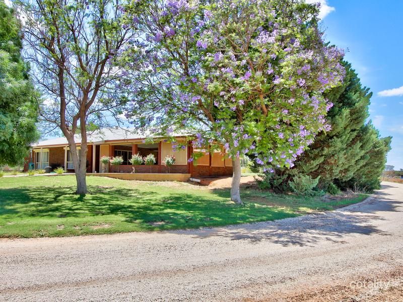446 Anderson Rd, Loxton North, SA 5333