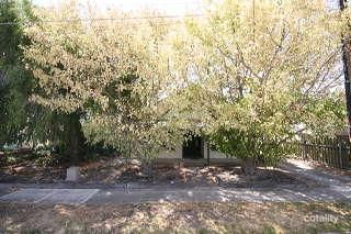 41 Curzon St, Camden Park, SA 5038