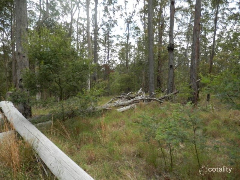 476 Long Gully Rd, Drake, NSW 2469