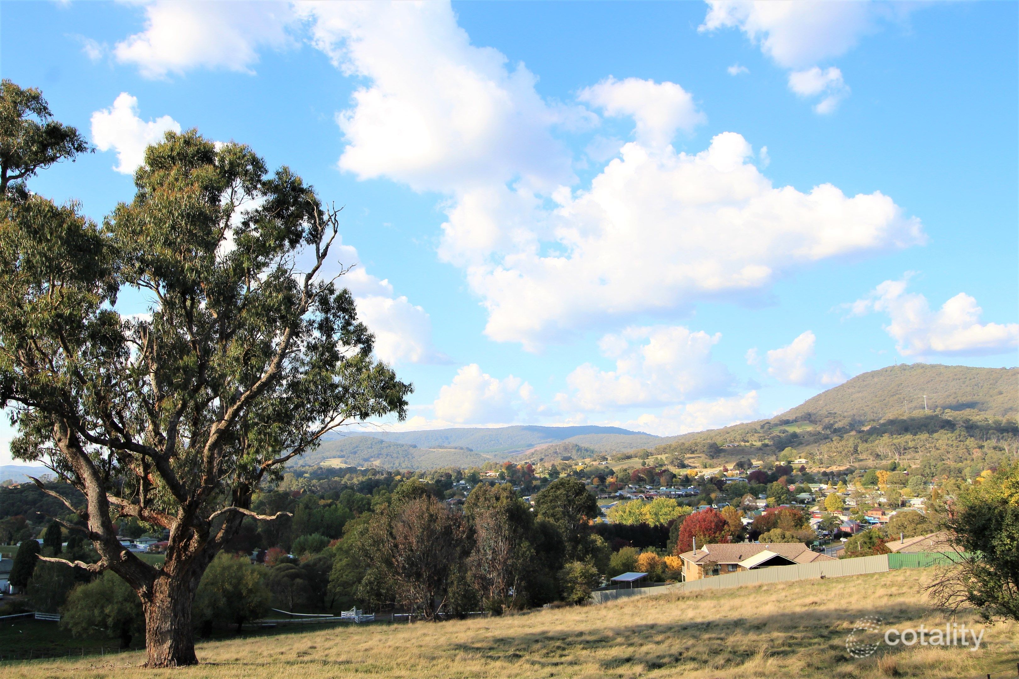 58 Albury St, Tumbarumba, NSW 2653