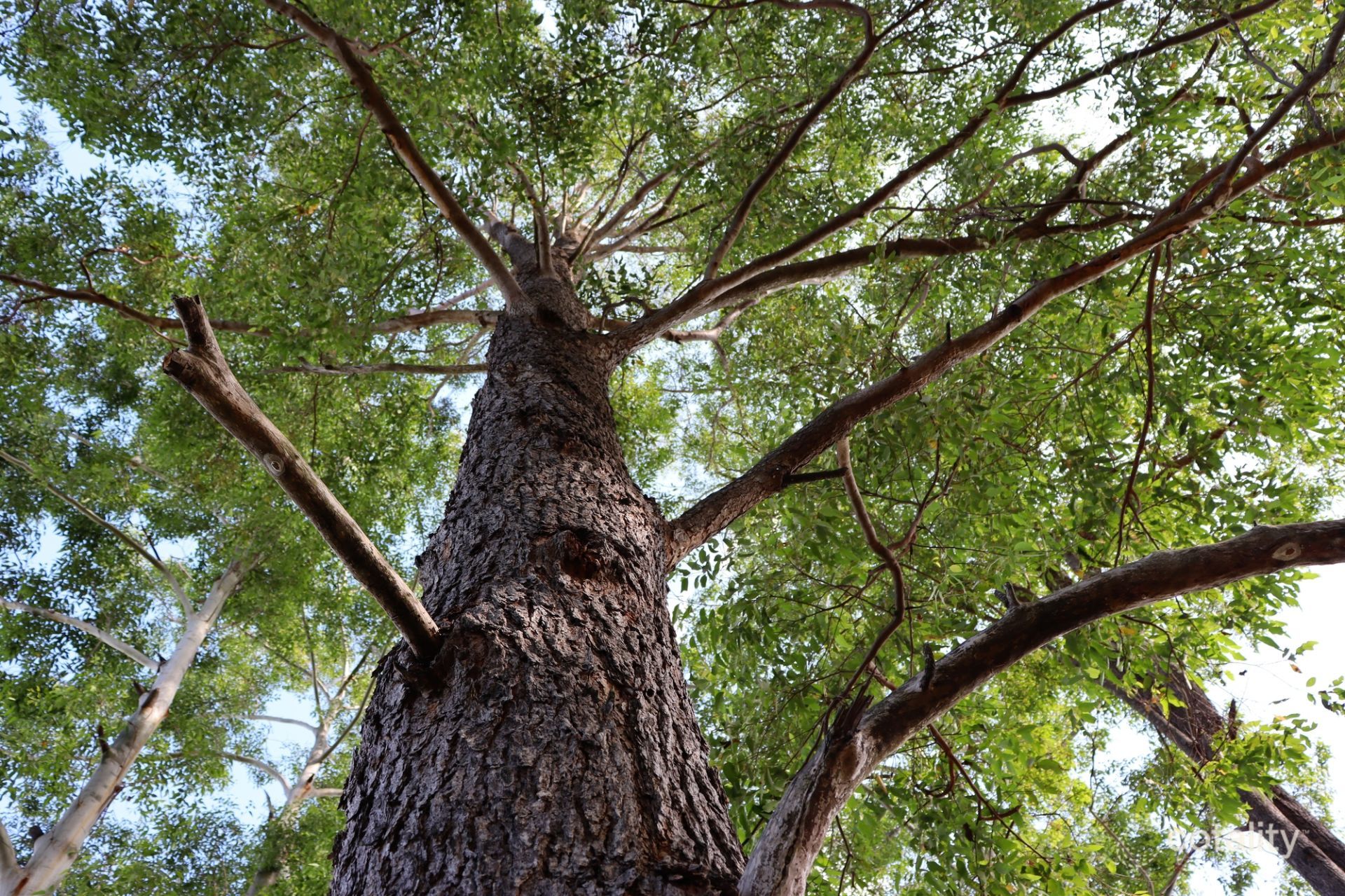 140 Old Veteran Rd, Veteran, QLD 4570