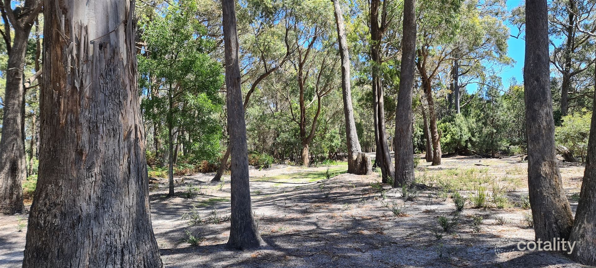 14 Inglis Rd, Clarence Point, TAS 7270