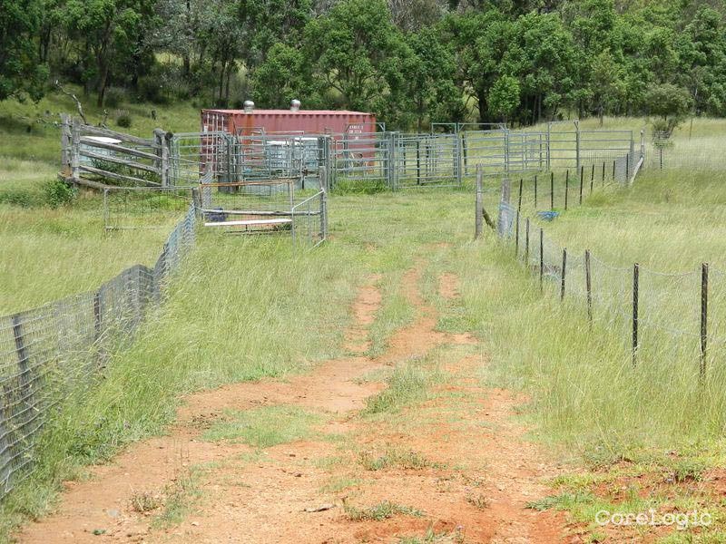 53 Fitch Rd, Pierces Creek, QLD 4355