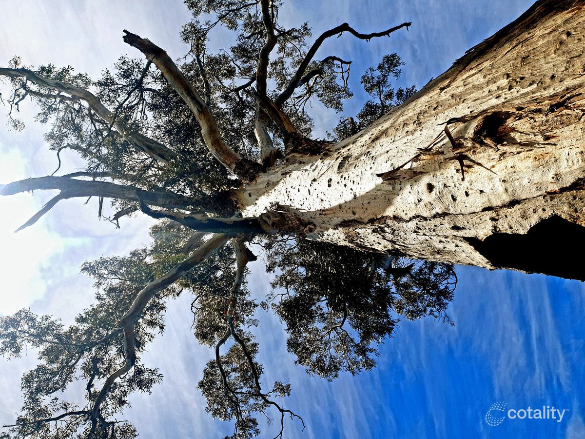 Lot 1 Elderslie Rd, Broadmarsh, TAS 7030