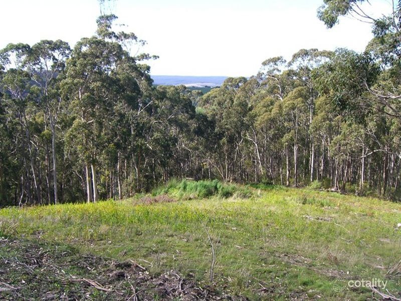 3410 Great Ocean Rd, Glenaire, VIC 3238