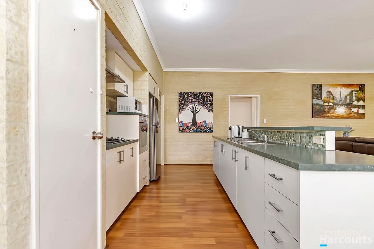 11 Goodwick St, Butler, WA 6036