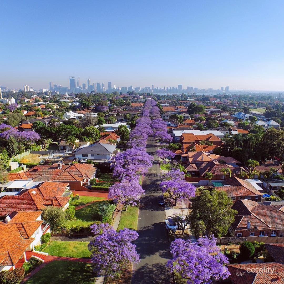 1/29 Strickland St, South Perth, WA 6151