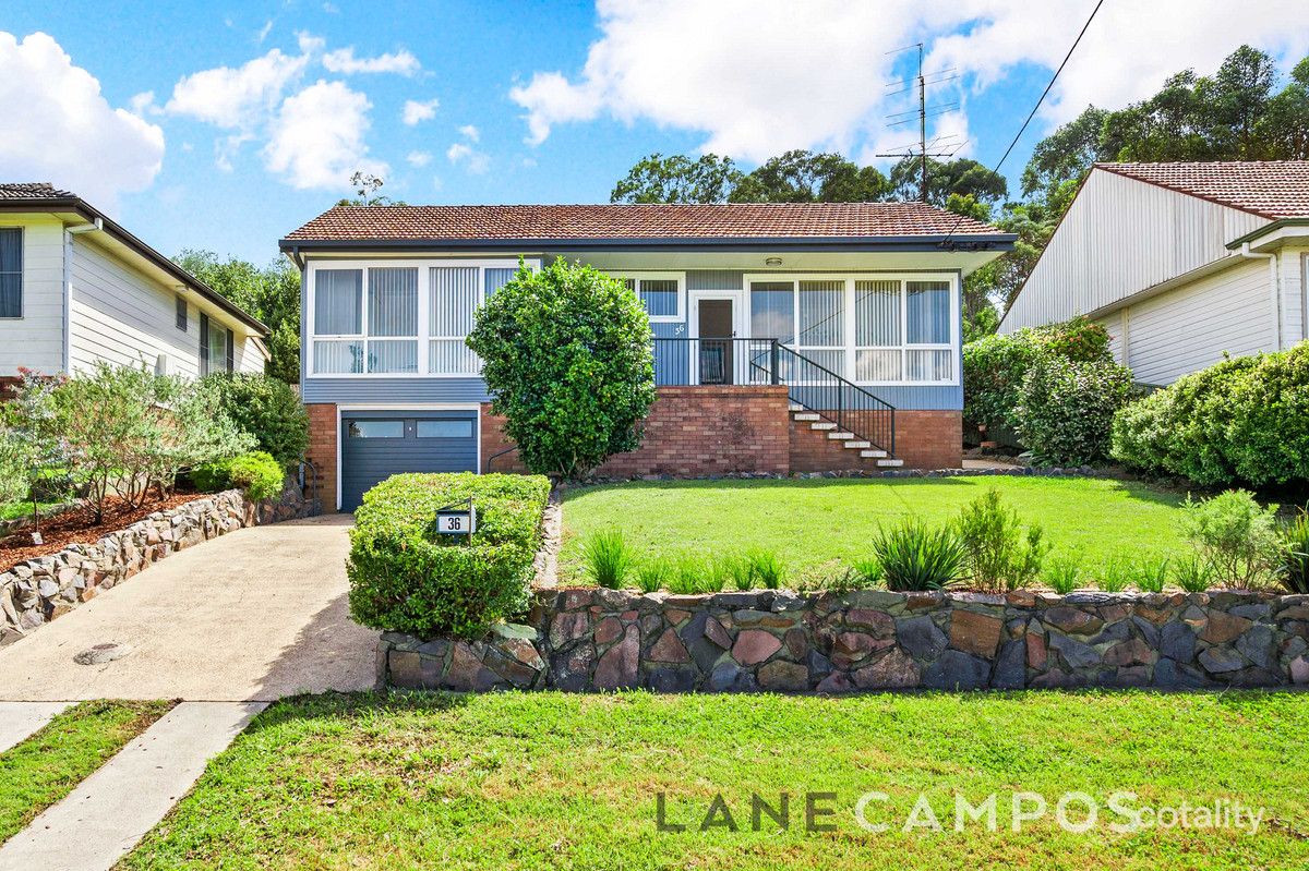 36 Branxton St, Waratah West, NSW 2298