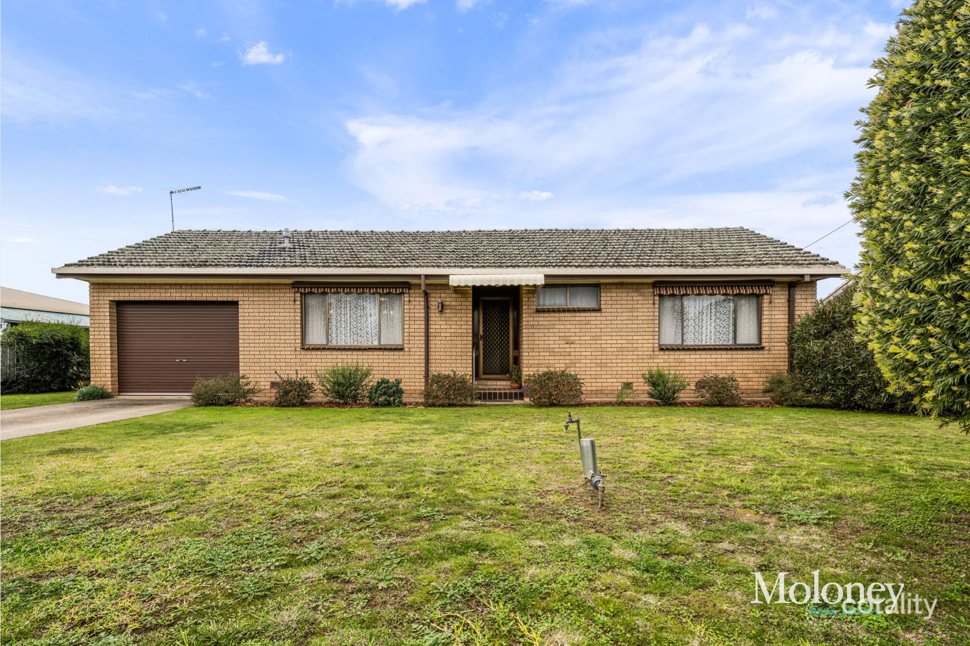 12 Lone Pine Ave, Corowa, NSW 2646