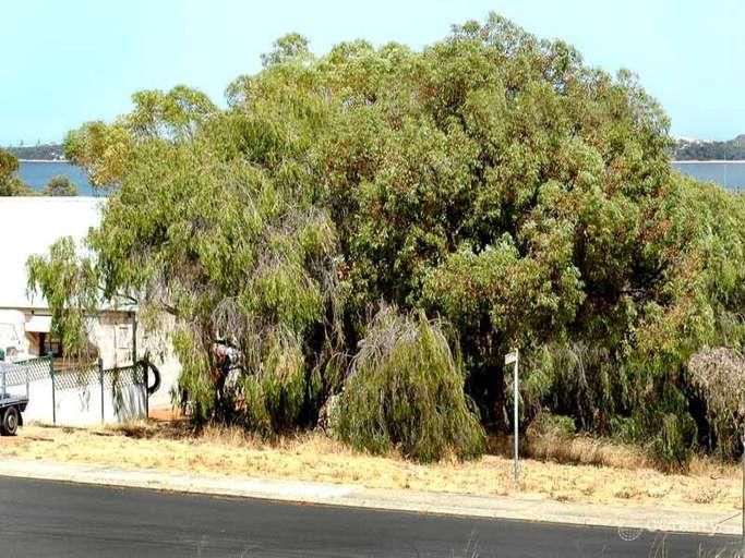 55 Pearce Rd, Australind, WA 6233