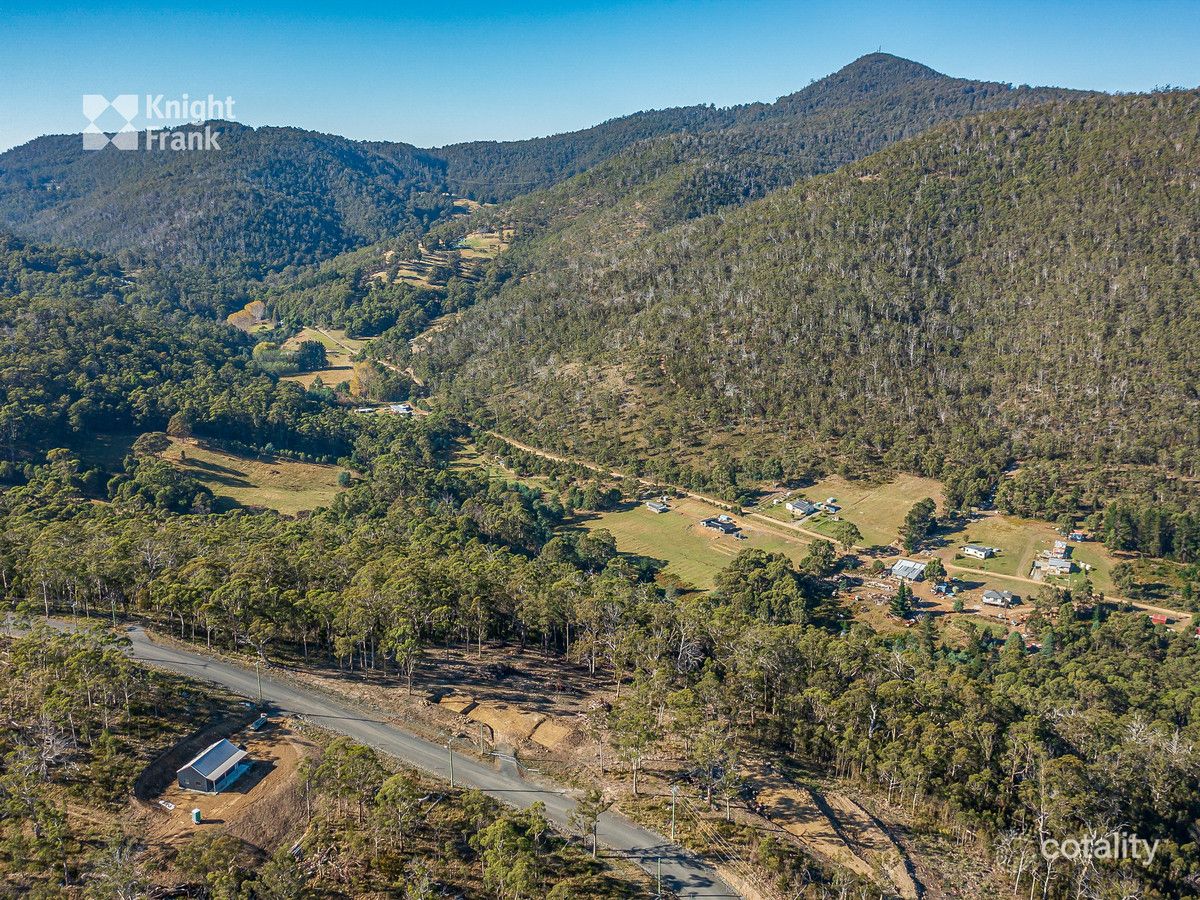 42 Bull Oak Way, Grove, TAS 7109