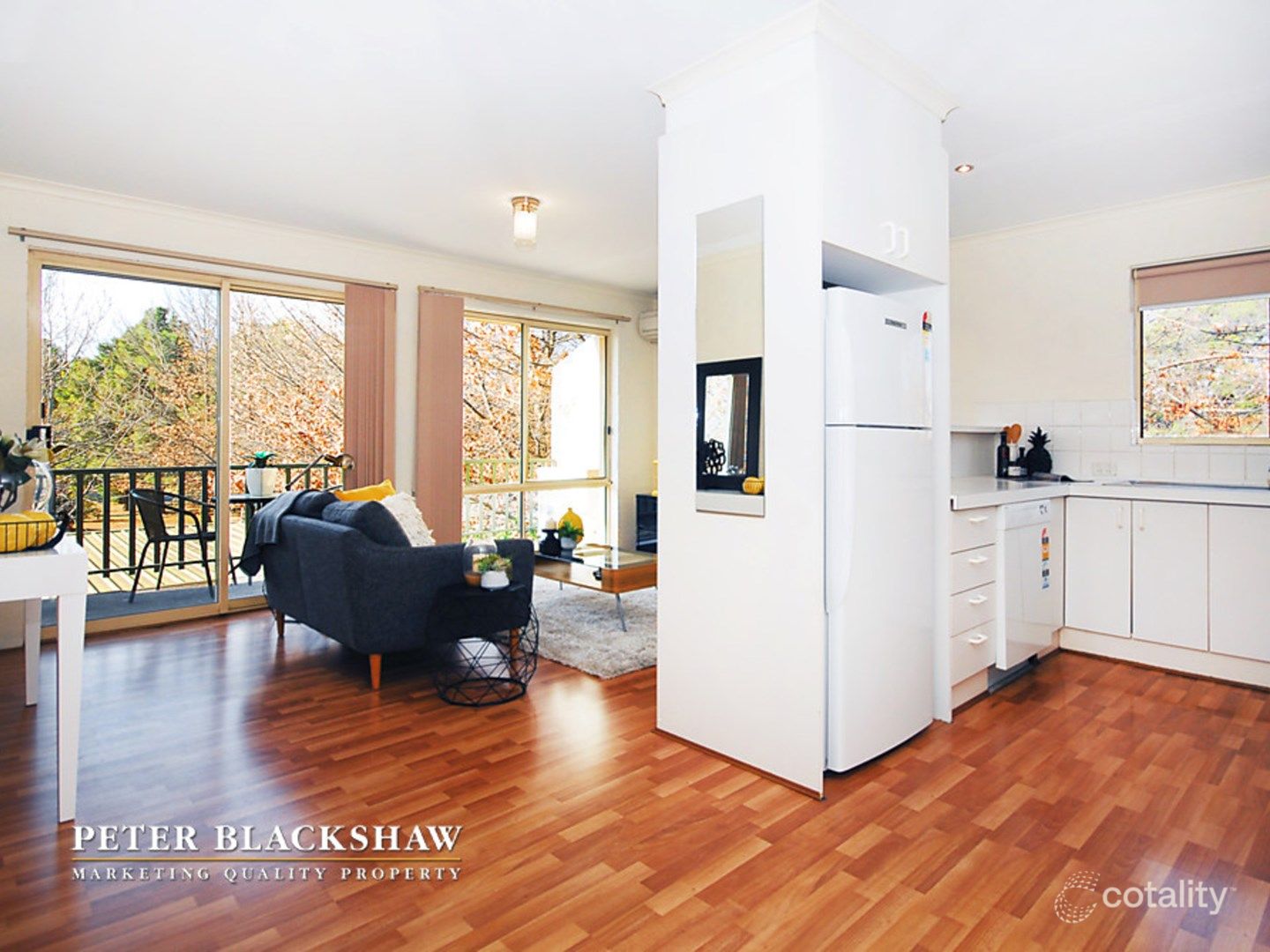 20/6 Antis St, Phillip, ACT 2606