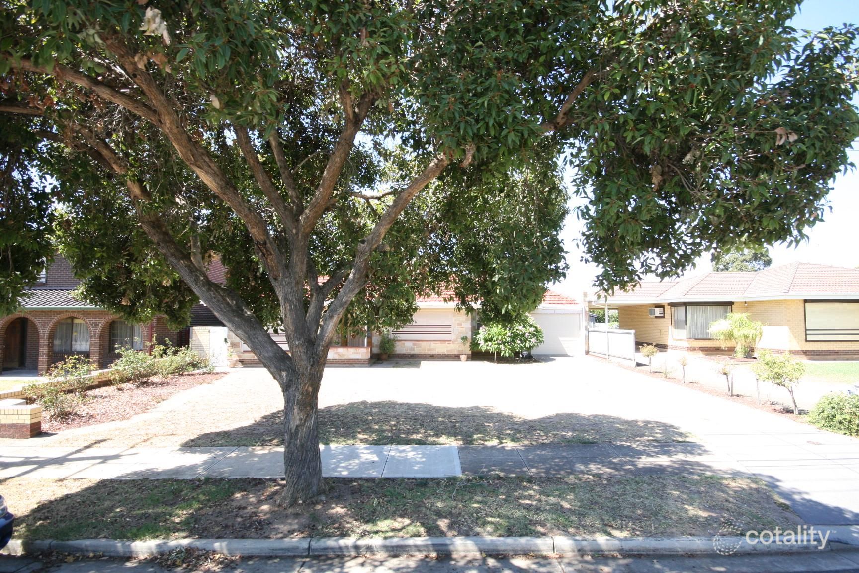 81 Beare Ave, Netley, SA 5037