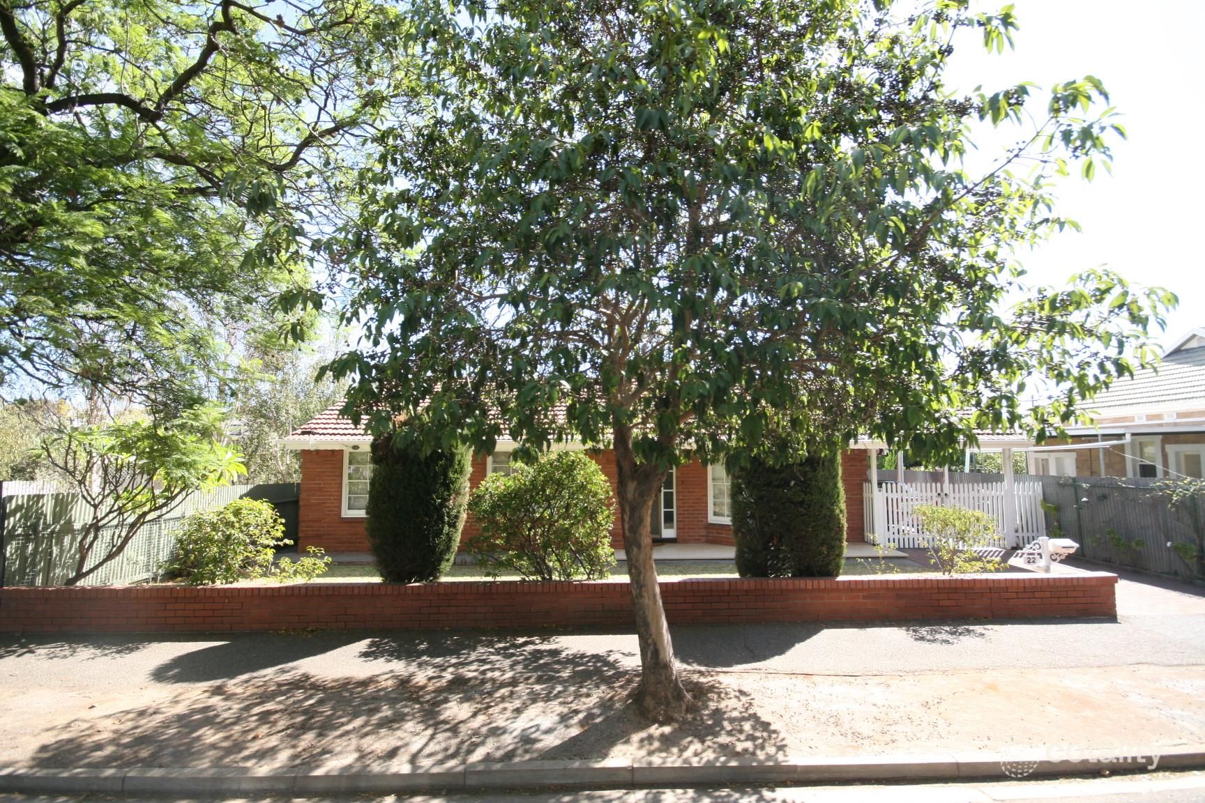 22 Churchill Ave, Clarence Park, SA 5034