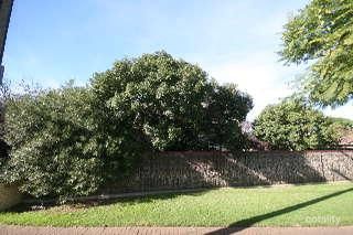 4/126 Walkerville Tce, Walkerville, SA 5081