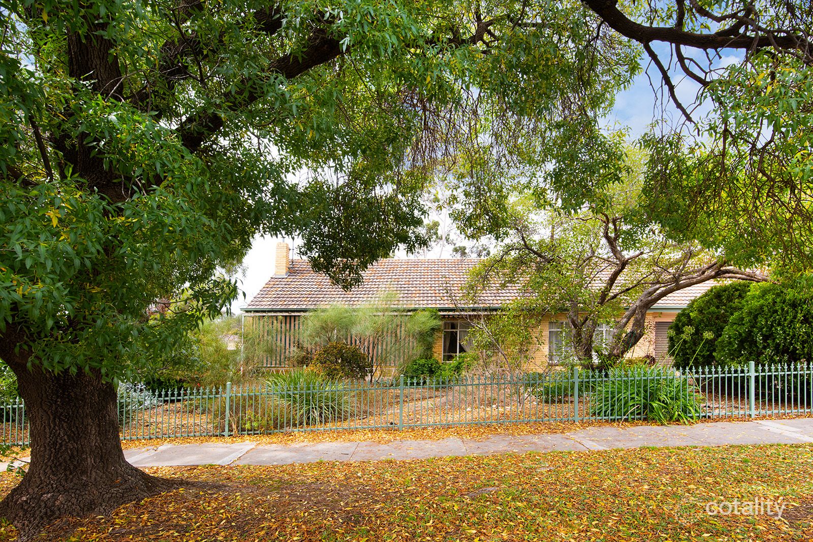 19 Curtin St, Kennington, VIC 3550