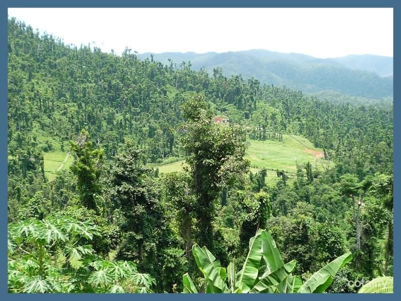 224 Jackson Rd, Shell Pocket, QLD 4855