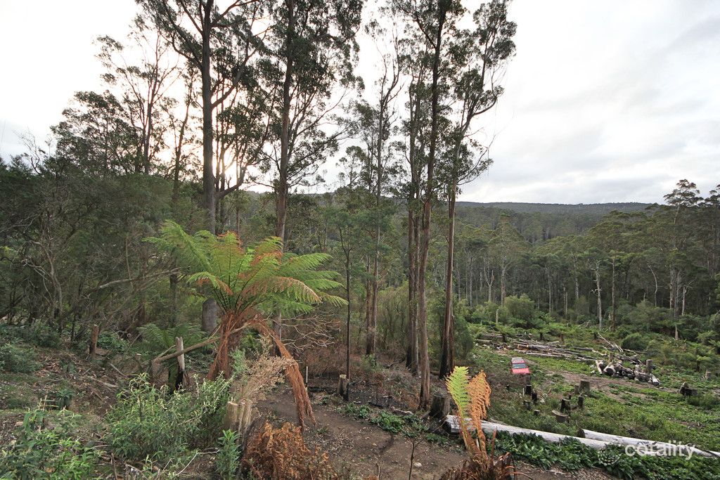 Lot 9 Lottah Rd, Lottah, TAS 7216