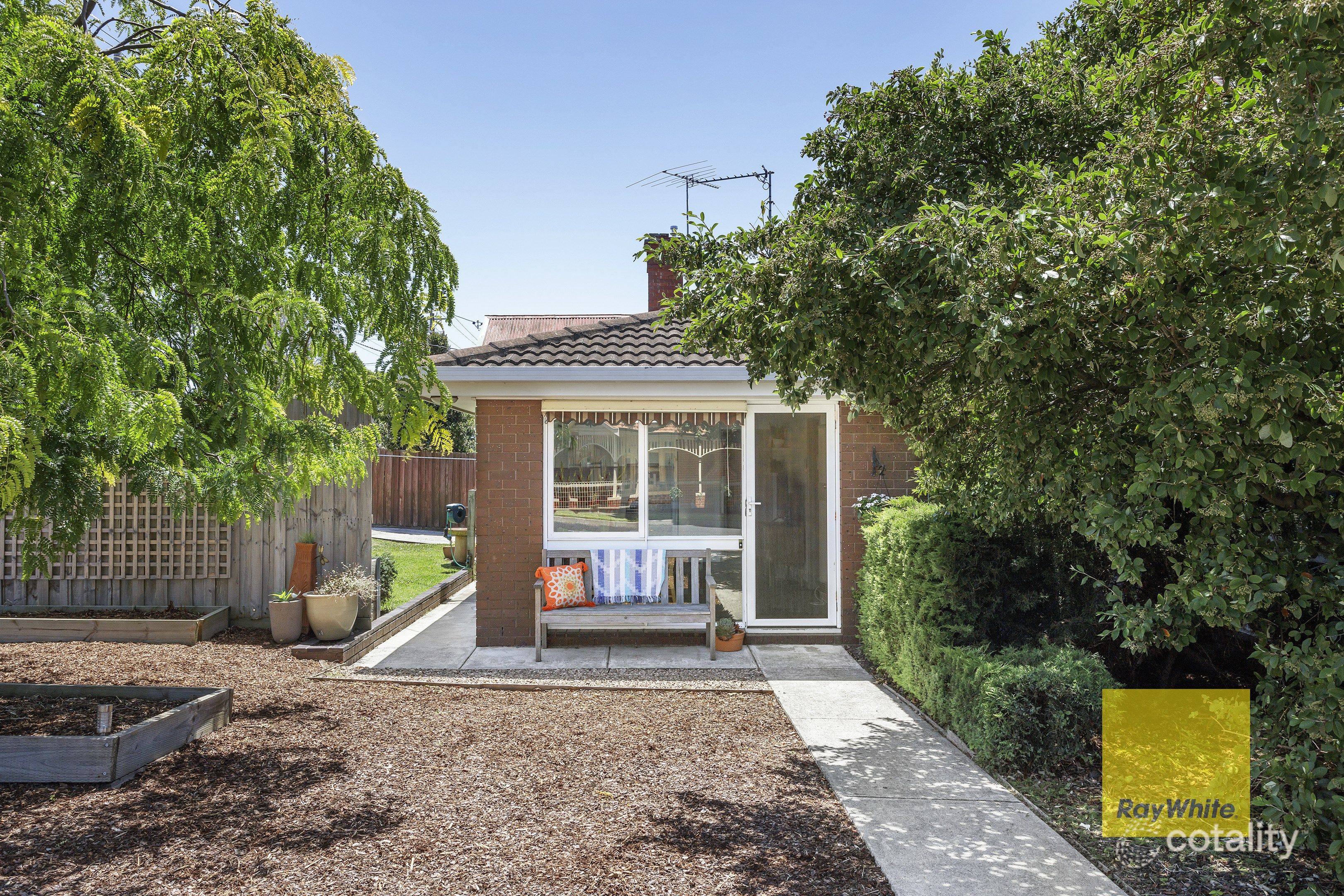 1/23 Francis St, Belmont, VIC 3216