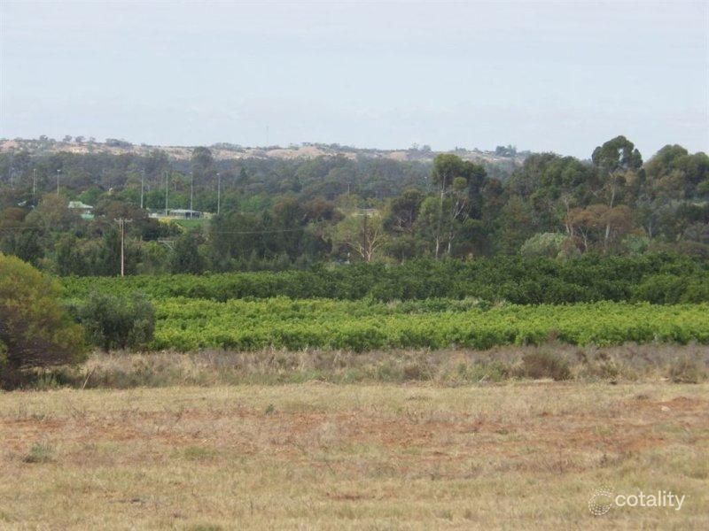 6 Riverview Dr, Paringa, SA 5340