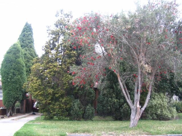 89 Tallawalla St, Beverly Hills, NSW 2209