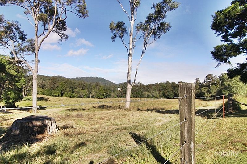 487 Nerang Murwillumbah Rd, Advancetown, QLD 4211