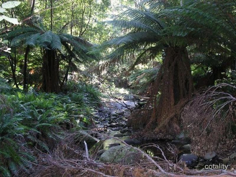 130 Wilkins Rd, Chain Of Lagoons, TAS 7215