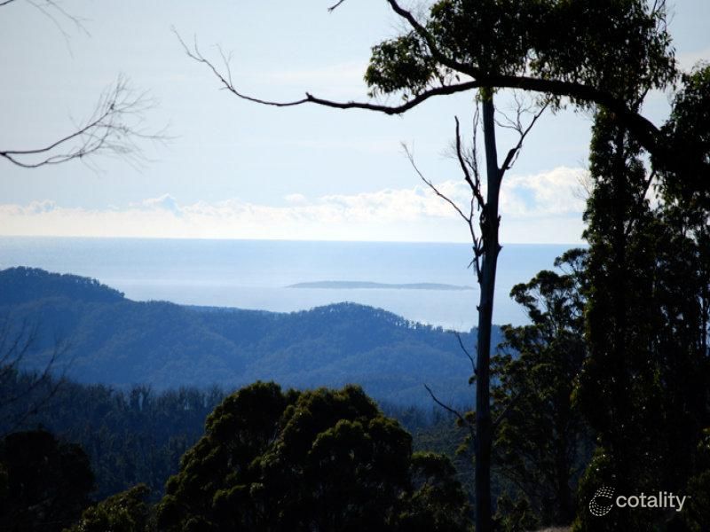 Lot 1 Lohreys Rd, St Marys, TAS 7215
