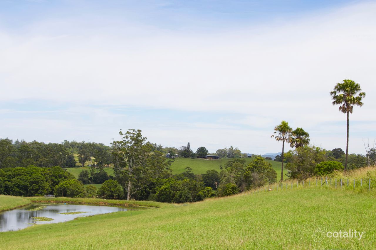 103 Soldier Settlers Rd, Newee Creek, NSW 2447