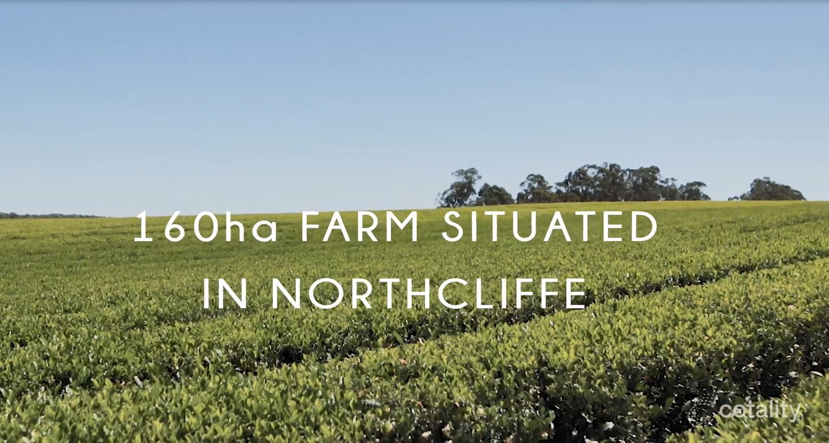 330 Meerup Rd, Meerup, WA 6262