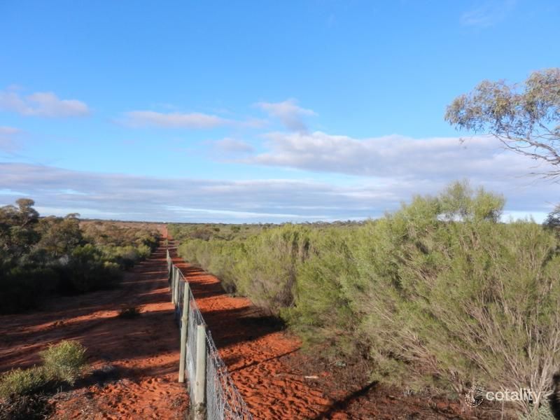 Lot 37 Nicholls Rd, Renmark West, SA 5341