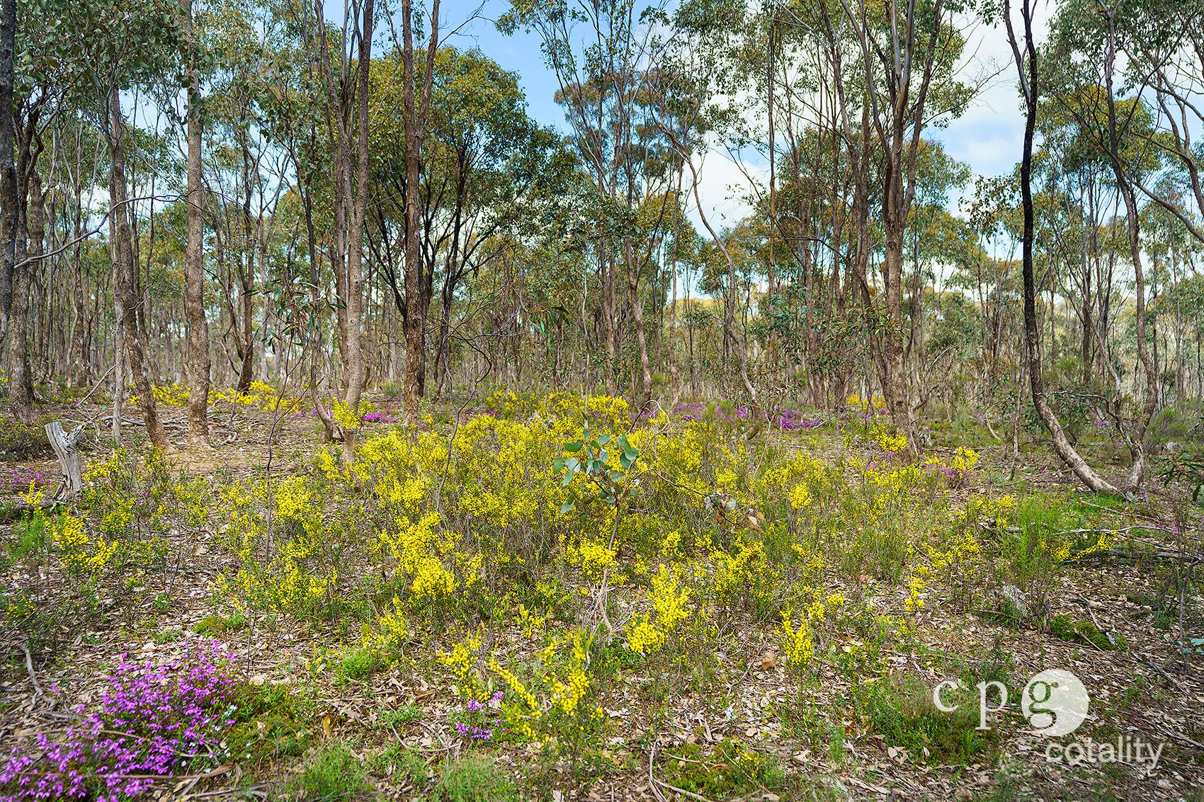 93 Bulkeleys Rd, Mckenzie Hill, VIC 3451