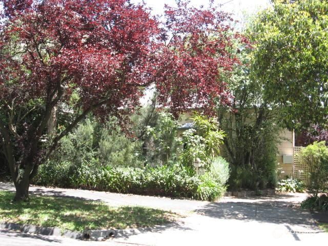 20 Norfolk Rd, Surrey Hills, VIC 3127