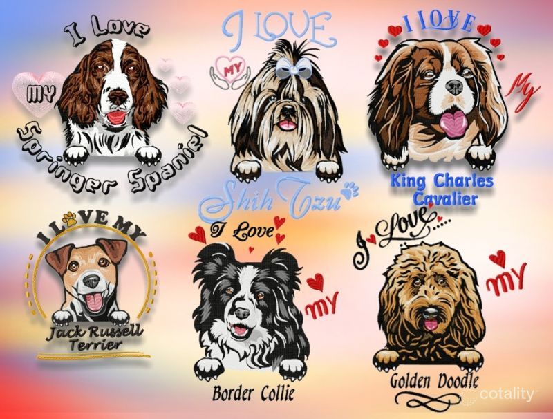 2/354 Tuggerawong Rd, Tuggerawong, NSW 2259