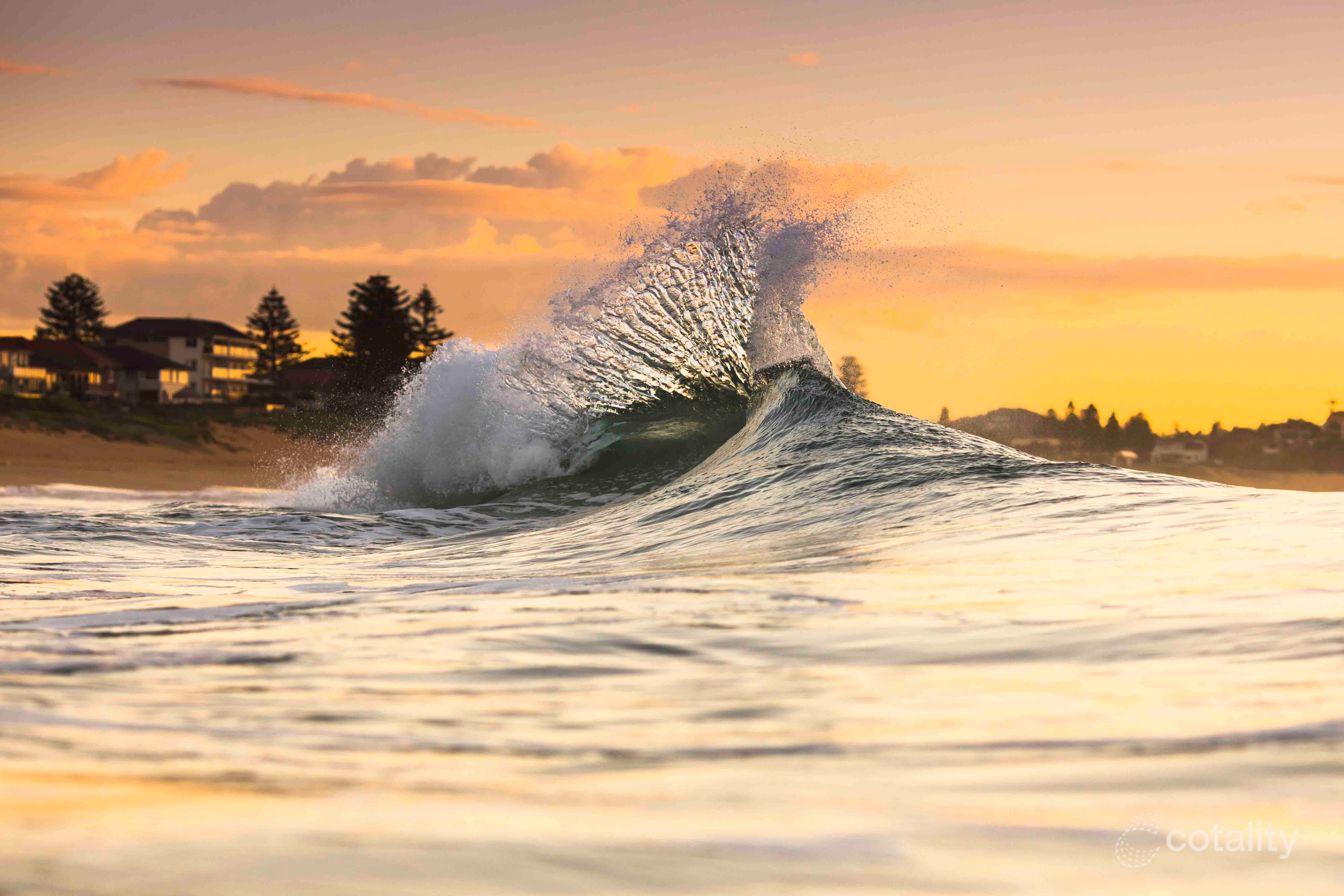 8/19-23 Waine St, Freshwater, NSW 2096